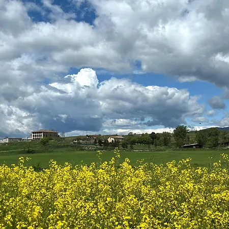 Casa Vella Del Cuni Lantställe Roda de Ter